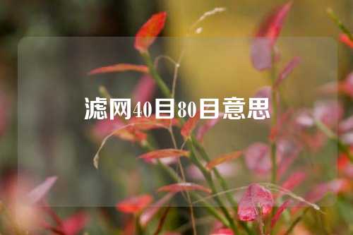 滤网40目80目意思