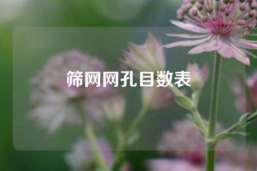 筛网网孔目数表