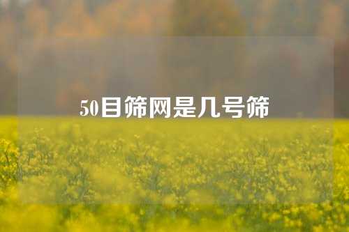 50目筛网是几号筛