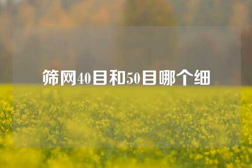 筛网40目和50目哪个细