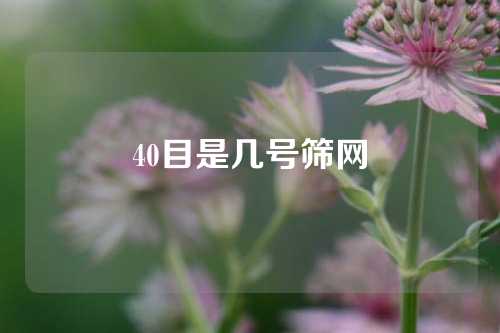 40目是几号筛网