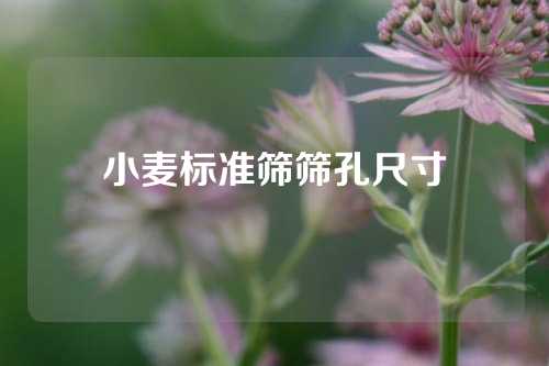 小麦标准筛筛孔尺寸