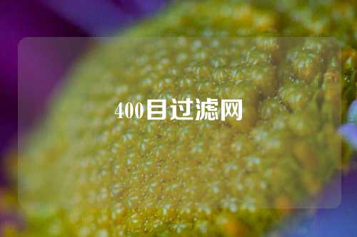 400目过滤网