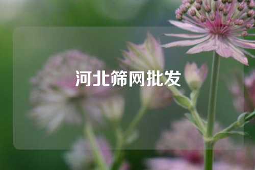 河北筛网批发