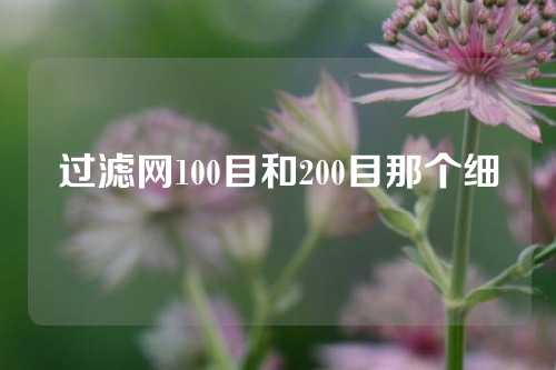 过滤网100目和200目那个细