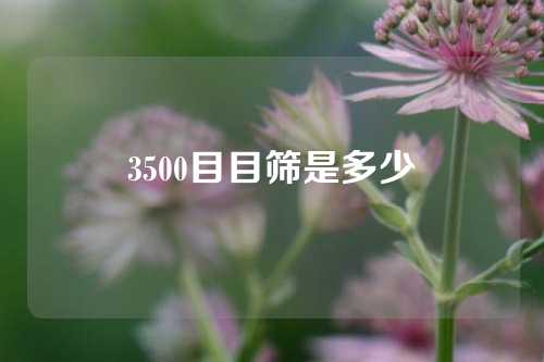 3500目目筛是多少