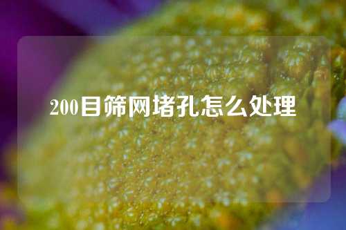 200目筛网堵孔怎么处理