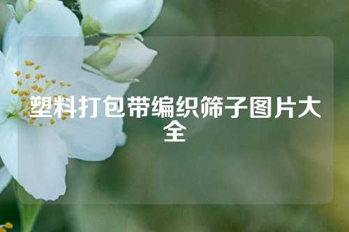 塑料打包带编织筛子图片大全