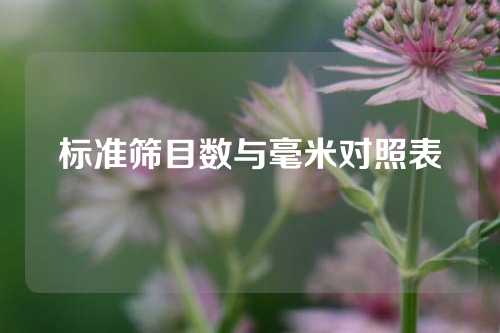 标准筛目数与毫米对照表