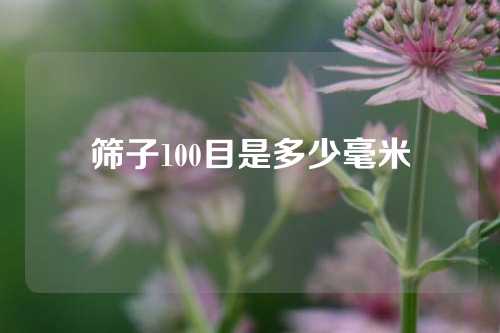 筛子100目是多少毫米