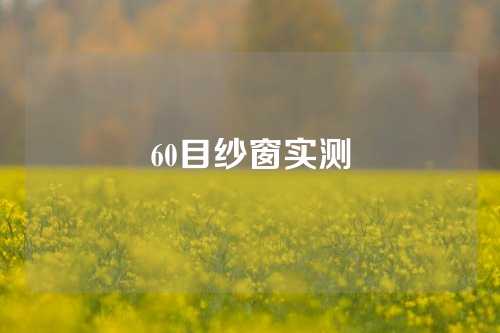 60目纱窗实测