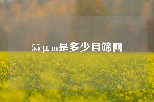 55μm是多少目筛网