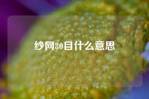 纱网80目什么意思