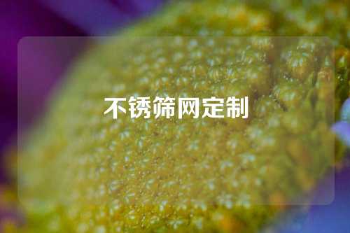 不锈筛网定制