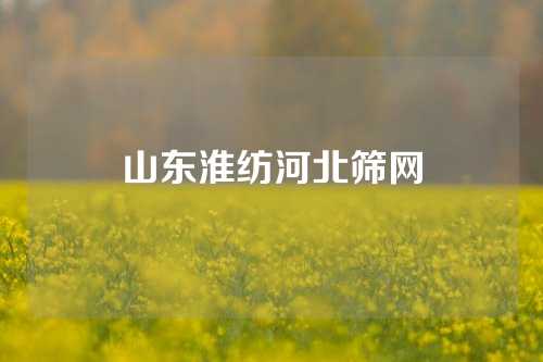 山东淮纺河北筛网