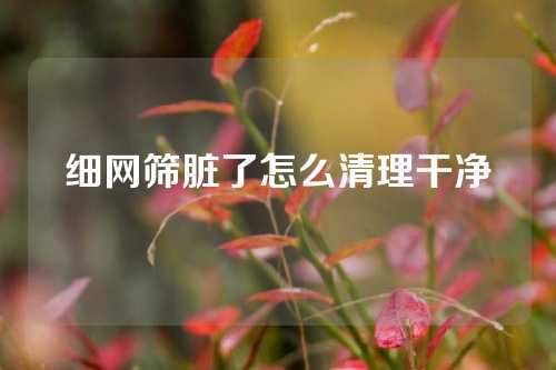 细网筛脏了怎么清理干净