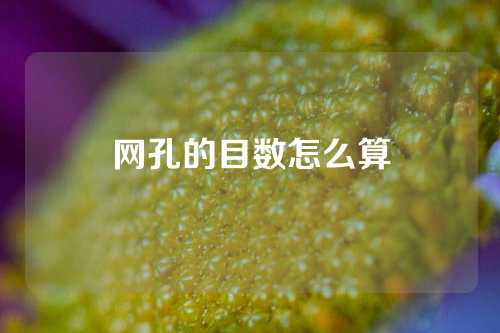 网孔的目数怎么算