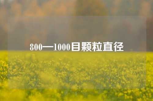 800—1000目颗粒直径