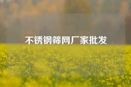 不锈钢筛网厂家批发