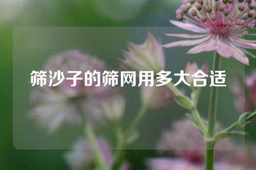 筛沙子的筛网用多大合适