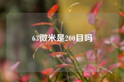 63微米是200目吗