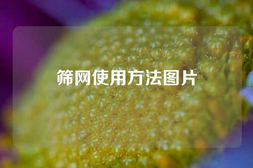 筛网使用方法图片