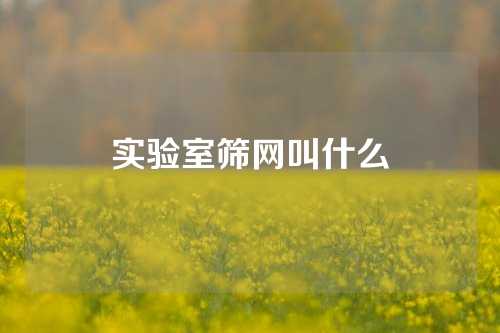 实验室筛网叫什么