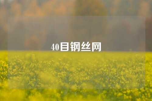 40目钢丝网