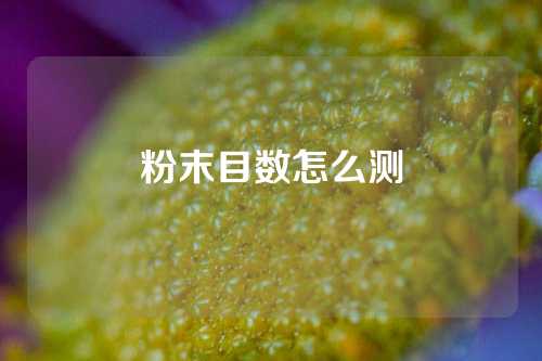 粉末目数怎么测