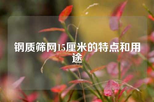 钢质筛网15厘米的特点和用途