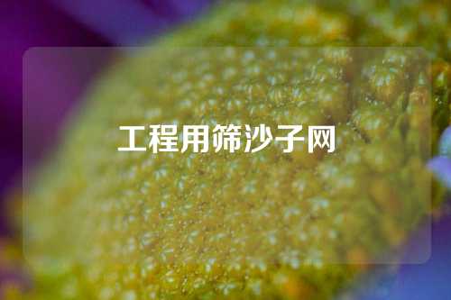 工程用筛沙子网