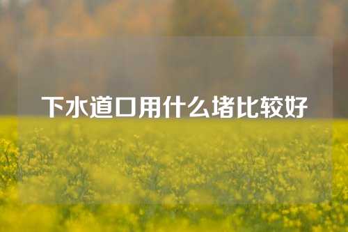 下水道口用什么堵比较好