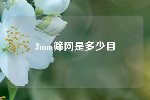 3mm筛网是多少目