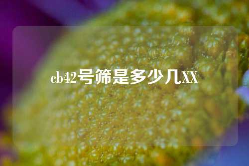 cb42号筛是多少几XX