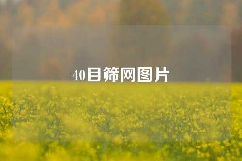 40目筛网图片