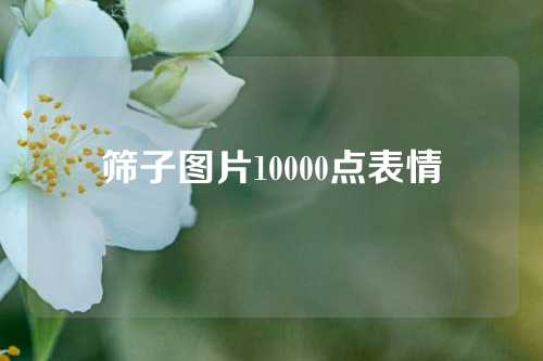 筛子图片10000点表情