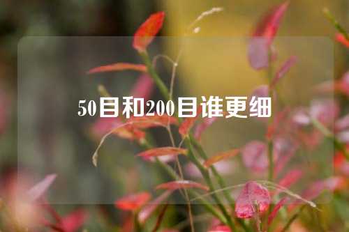 50目和200目谁更细