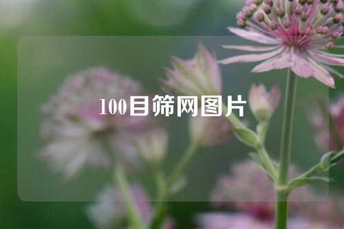 100目筛网图片