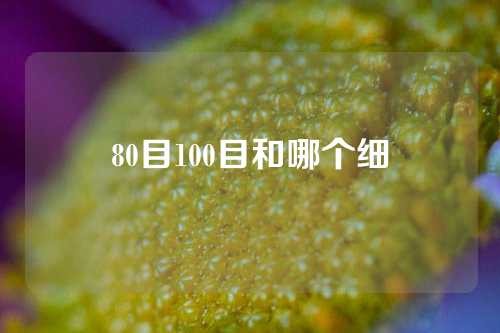 80目100目和哪个细