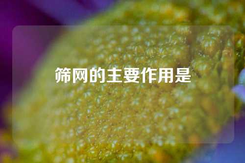 筛网的主要作用是