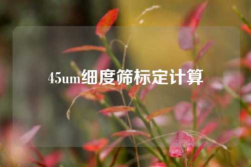 45um细度筛标定计算