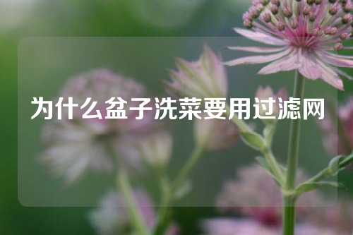 为什么盆子洗菜要用过滤网