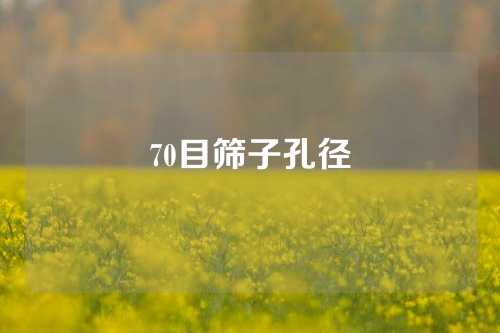 70目筛子孔径