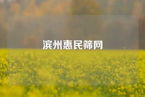 滨州惠民筛网