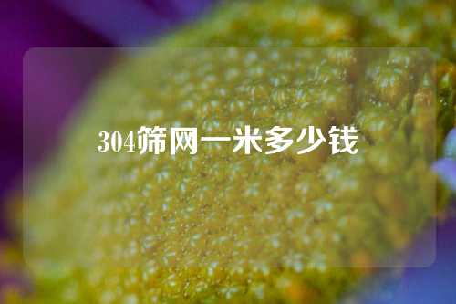 304筛网一米多少钱