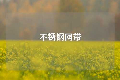 不锈钢网带