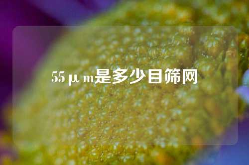 55μm是多少目筛网