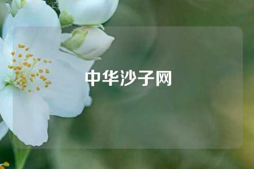 中华沙子网