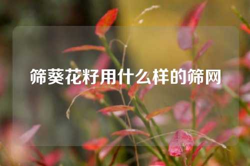 筛葵花籽用什么样的筛网