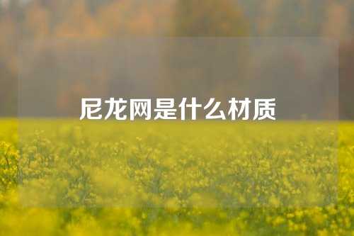 尼龙网是什么材质